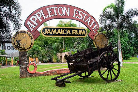 Appleton Estate