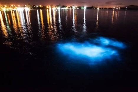 Luminous Lagoon