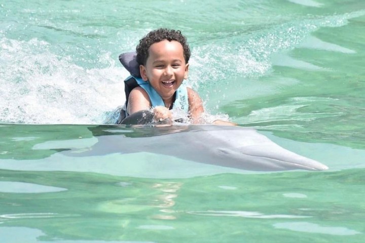 Dolphin Cove