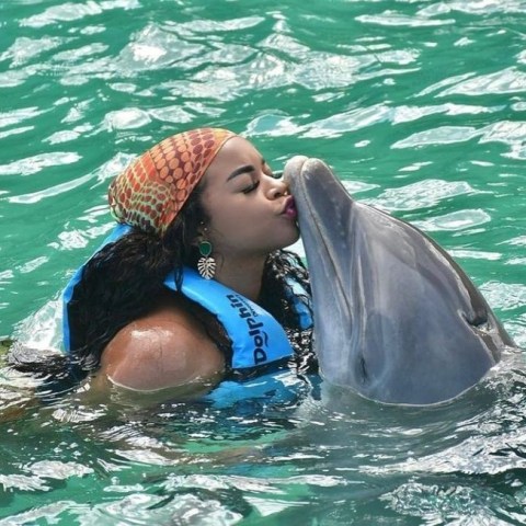 Dolphin Cove
