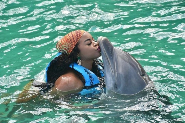Dolphin Cove