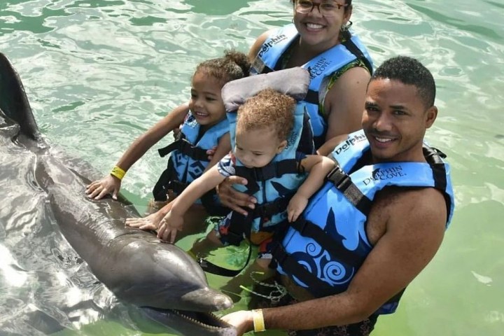 Dolphin Cove