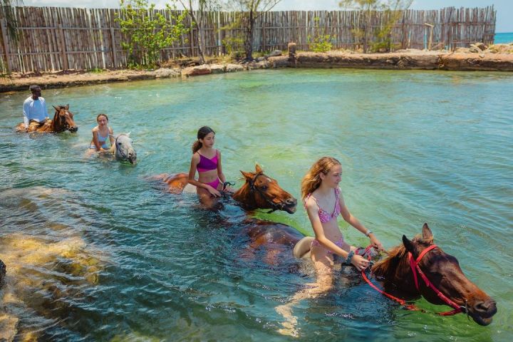 Horseback Riding