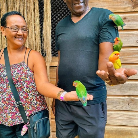 Yaaman Bird Aviary