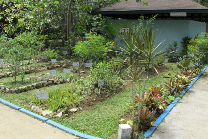 Garden at Martha Brae River Rafting